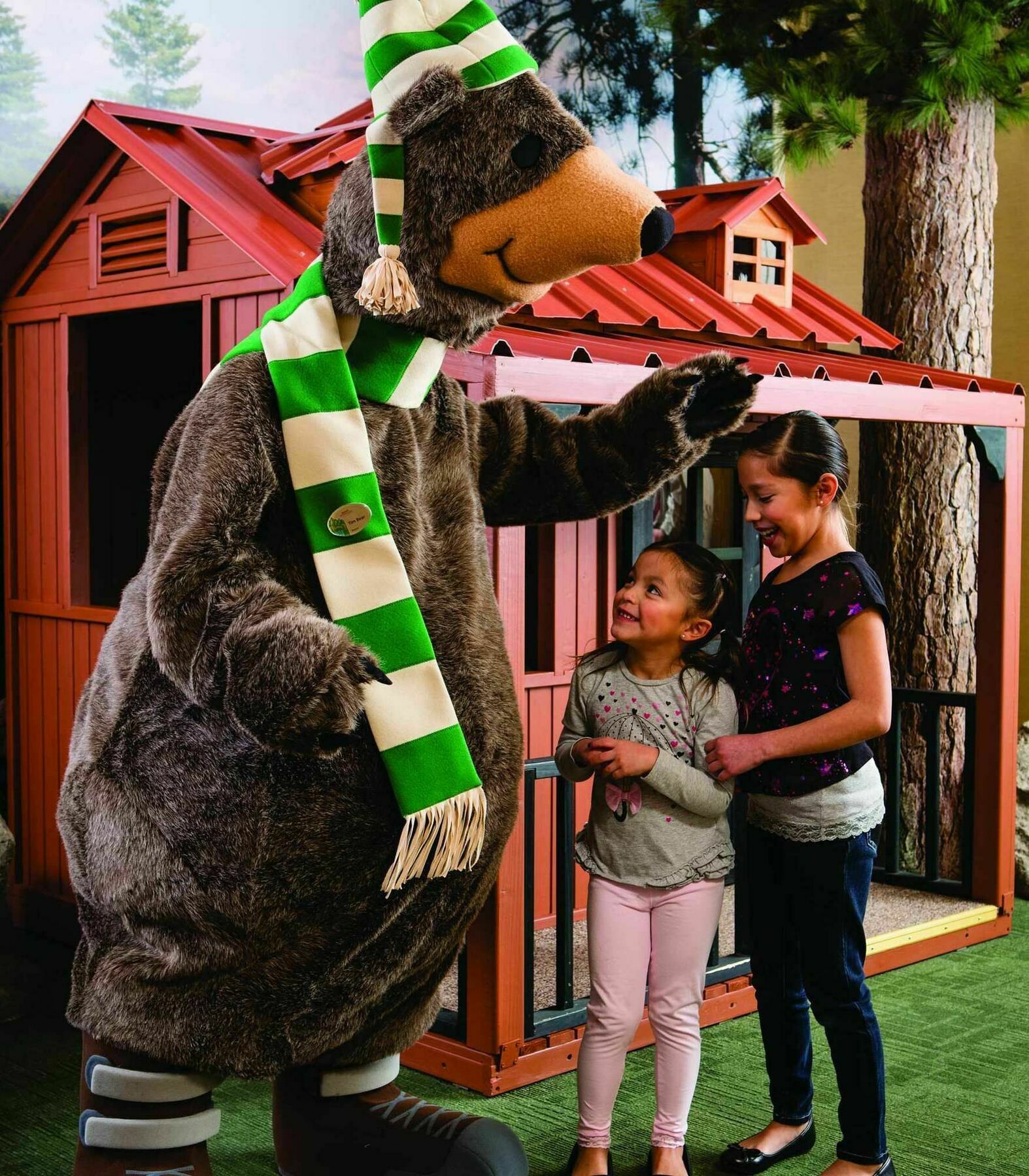 Marriott'S Timber Lodge South Lake Tahoe Exteriér fotografie